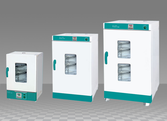 WGL系列電熱鼓風干燥箱